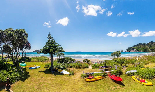 Twist-Out Curls: A Heat-Free Way to Define Natural Hair